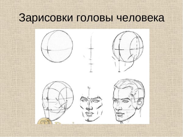 Этапы изображения головы человека