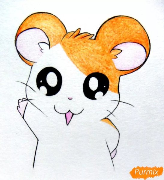 Хомяк для срисовывания