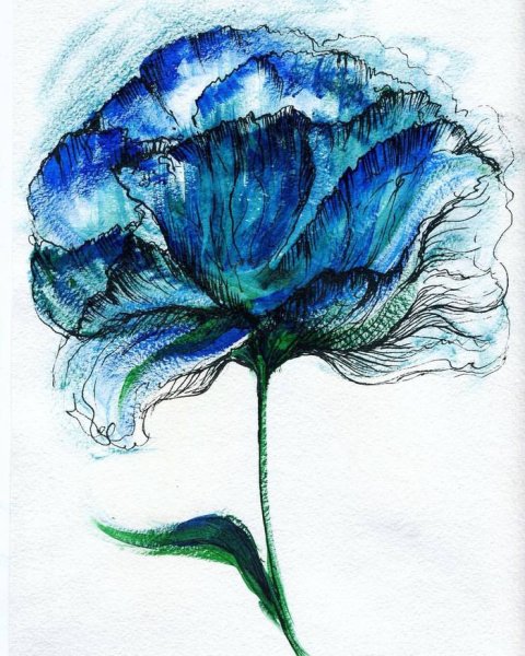 Рисунки голубого цвета