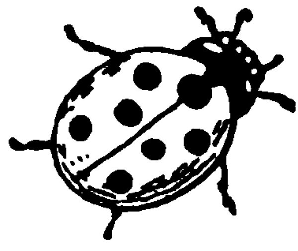 Лёгкие рисунки для выжигания по дереву