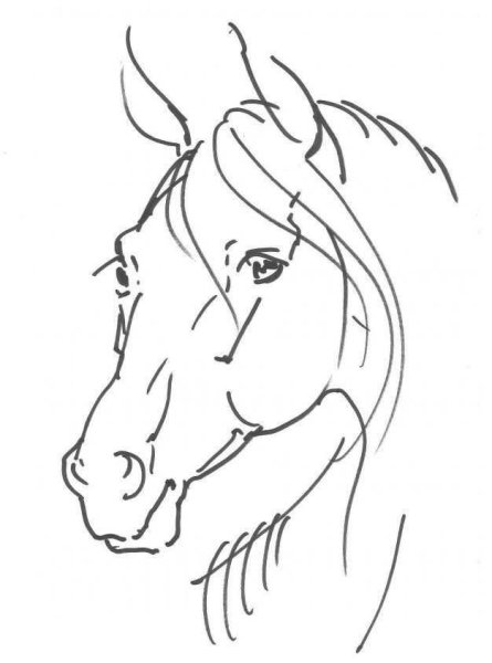 Трафареты для выжигания по дереву для начинающих