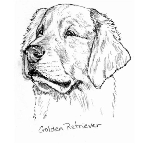 Эскизы рисунков для выжигания по дереву