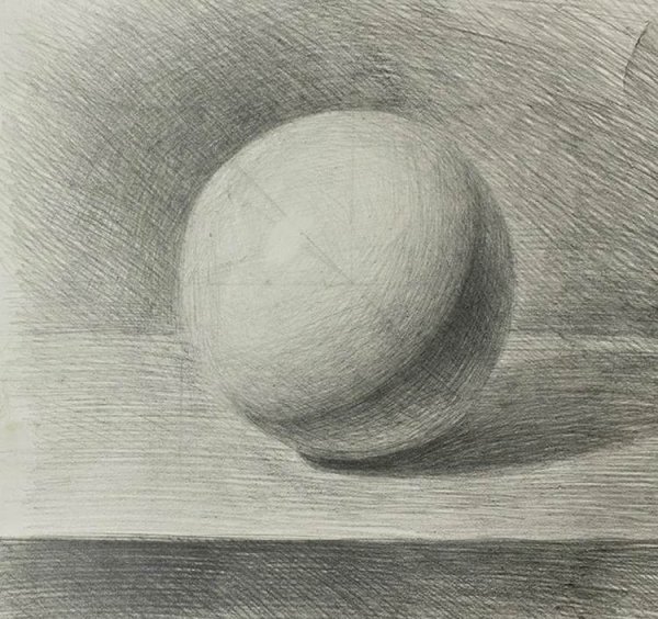 Ара рисунок карандашом