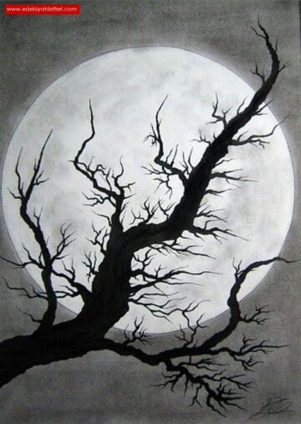 Страшные деревья зарисовки