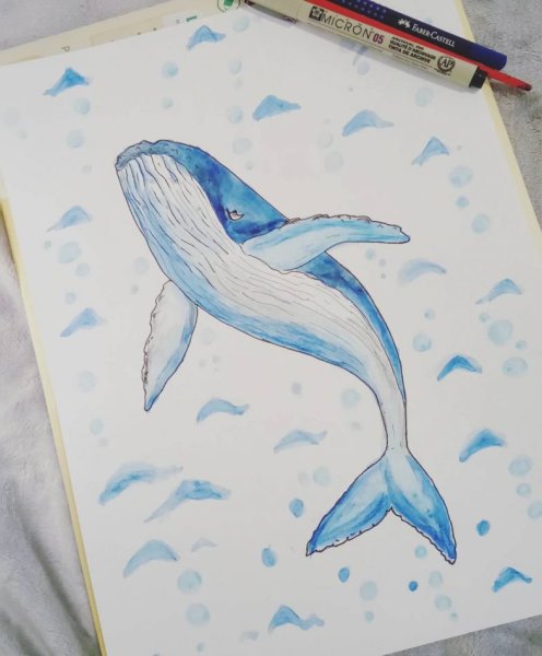 Голубые рисунки для срисовки