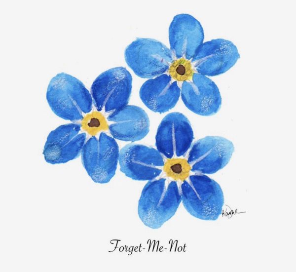 Рисование незабудки