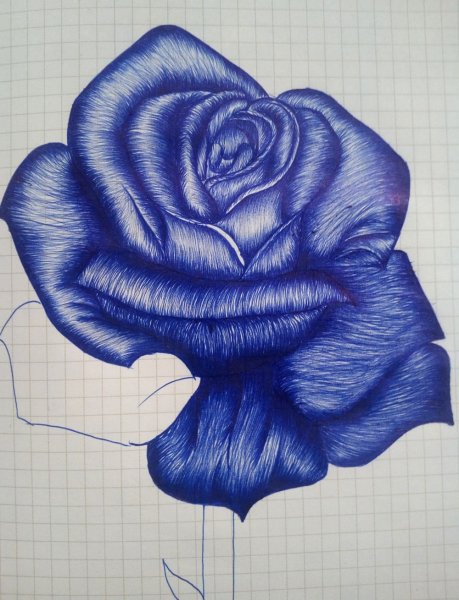 Рисунки ручкой