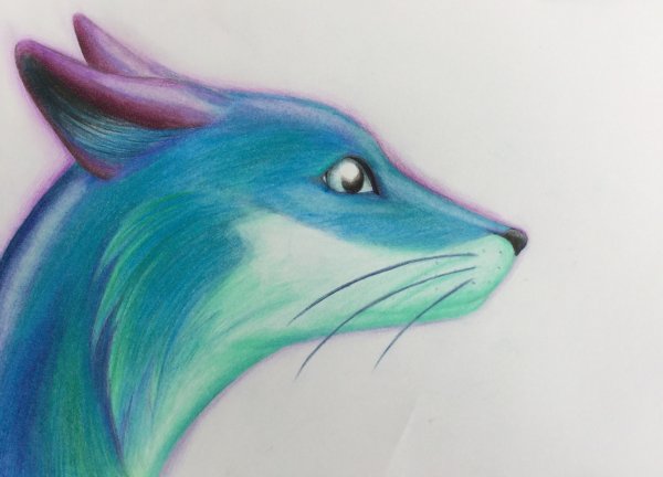 Рисунки для срисовки цветные