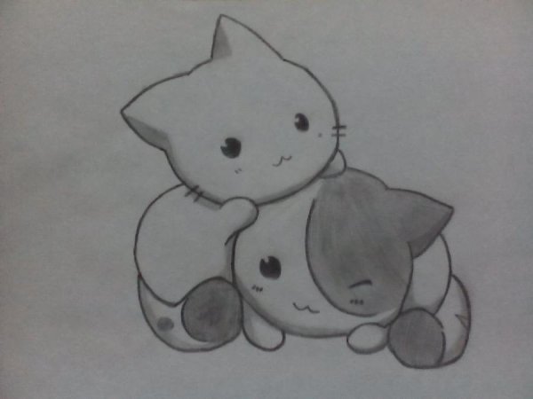 Рисунок котёнка карандашом для срисовки