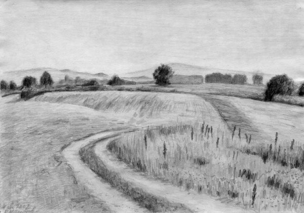 Поле карандашом