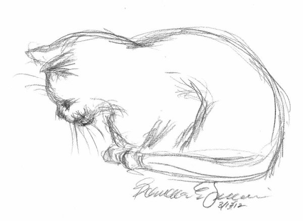 Наброски животных карандашом