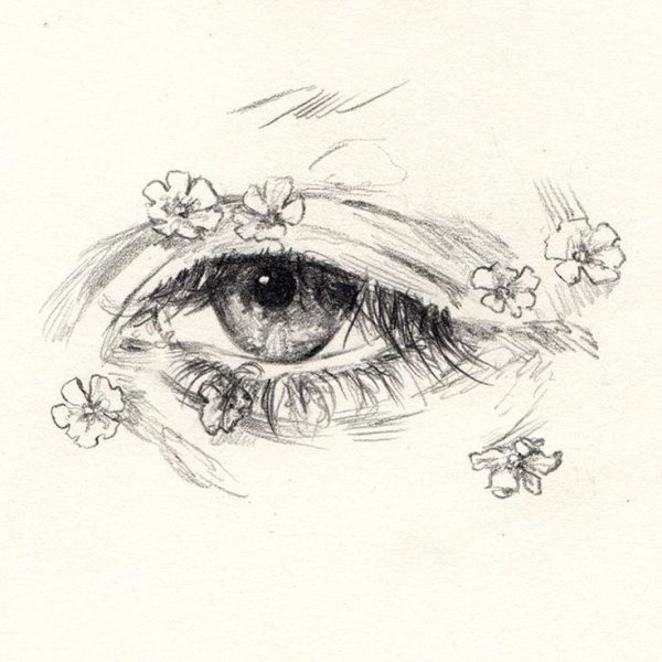 Наброски глаз карандашом