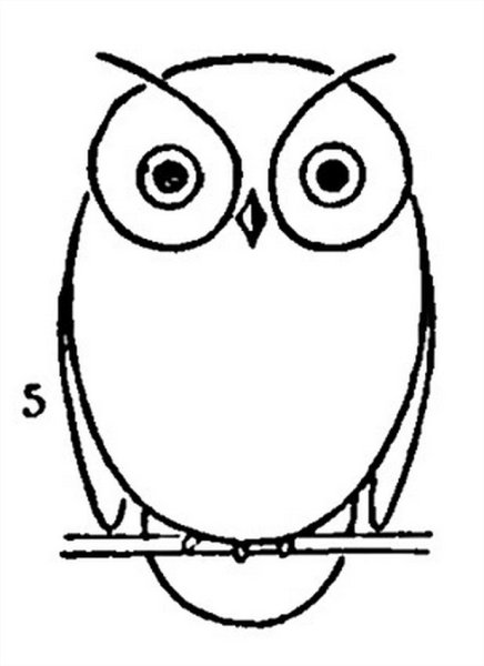 Схематический рисунок Совы