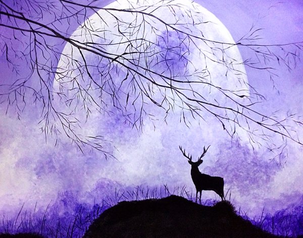 Ночные зарисовки