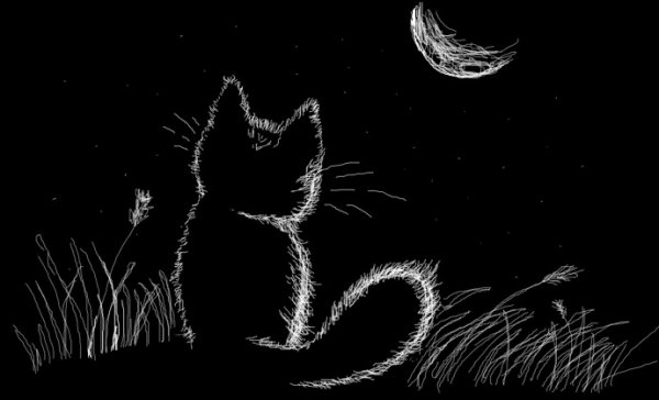 Ночь карандашом