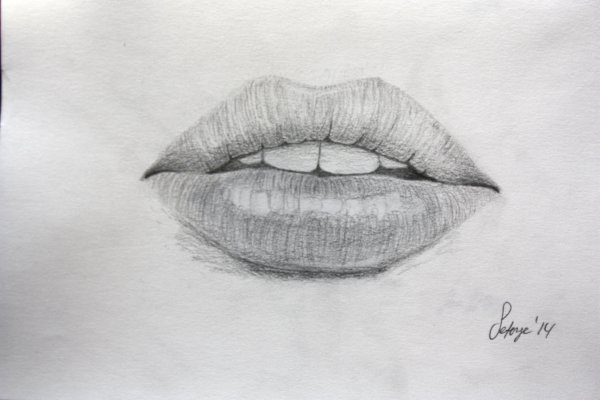 Язык жестов глухонемых алфавит