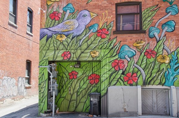 Уличная живопись на стенах домов