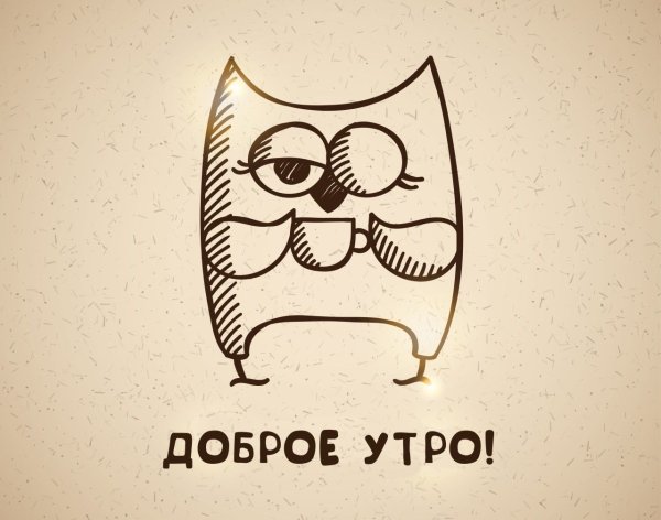 Доброе утро Сова