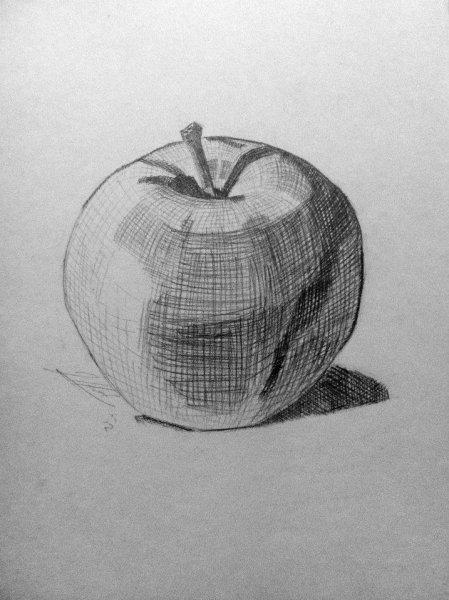 Натюрморт яблоко карандашом