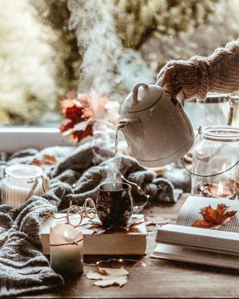 Зимнее чаепитие