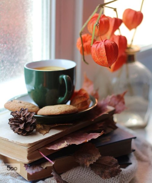 Осенний уют