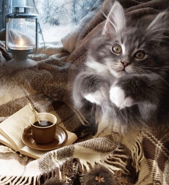 Теплого вечера