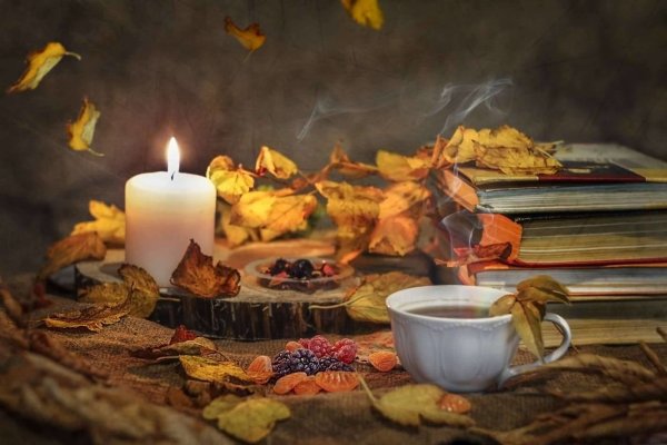 Уютного вечера