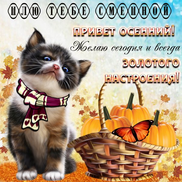 Открытки с теплыми пожеланиями