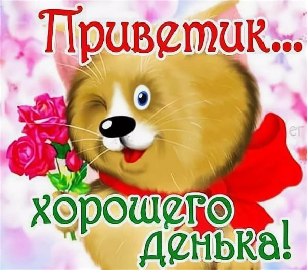 Приветик хорошего дня