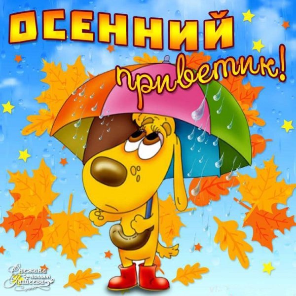 Открытки осенний привет