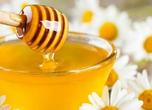 Медовый спас картинки