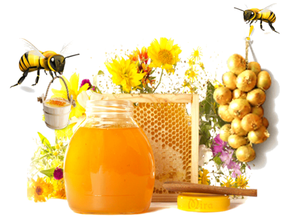 Медовый спас