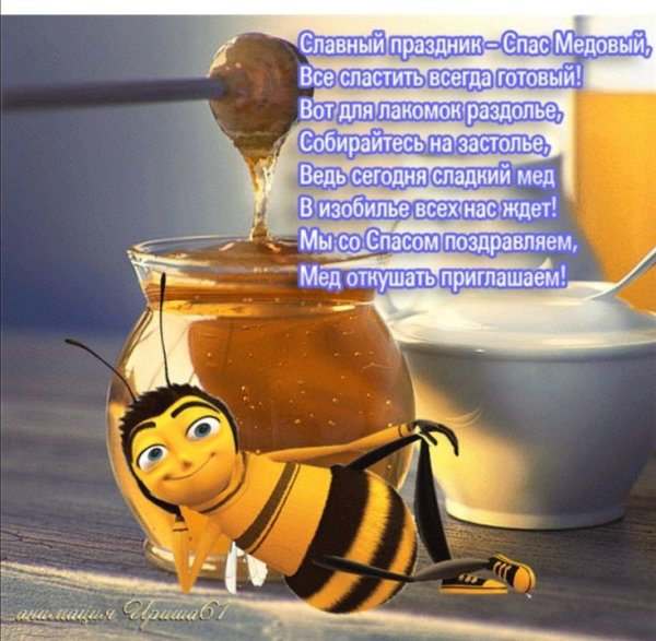 Мед в сотах гиф