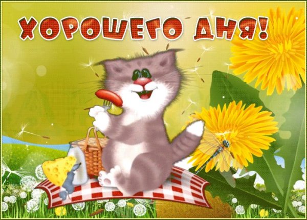 Пожелание хорошего дня с котиками