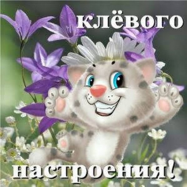 Открытки Веселые и добрые