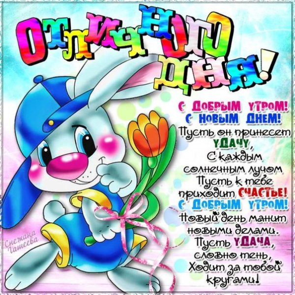 Прикольные пожелания на весь день