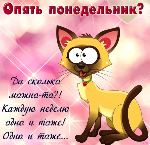 Прикольные открытки