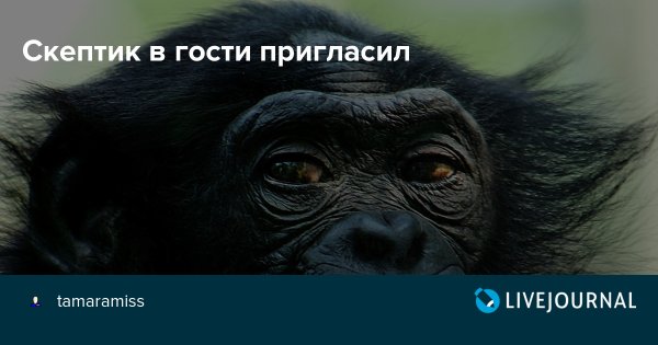 Международный день скептиков картинки