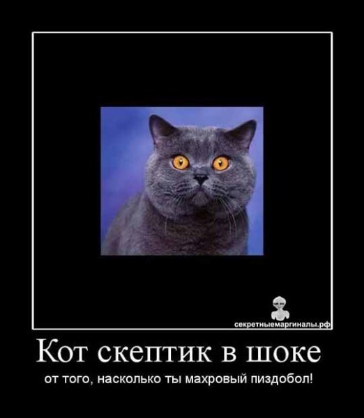 Дон Аминадо цитаты