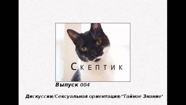 Скептицизм критическое философствование