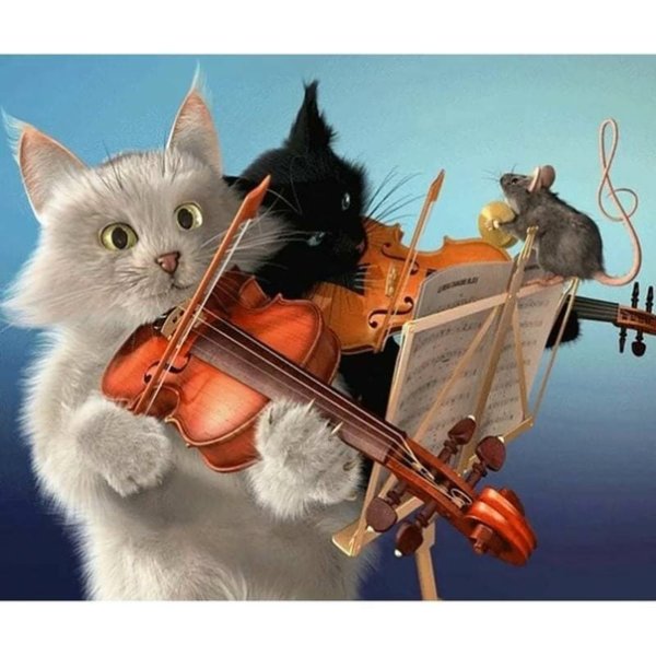 Коты музыканты