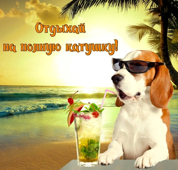 Хорошего отпуска