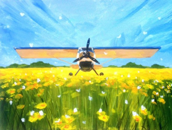 Улетный день