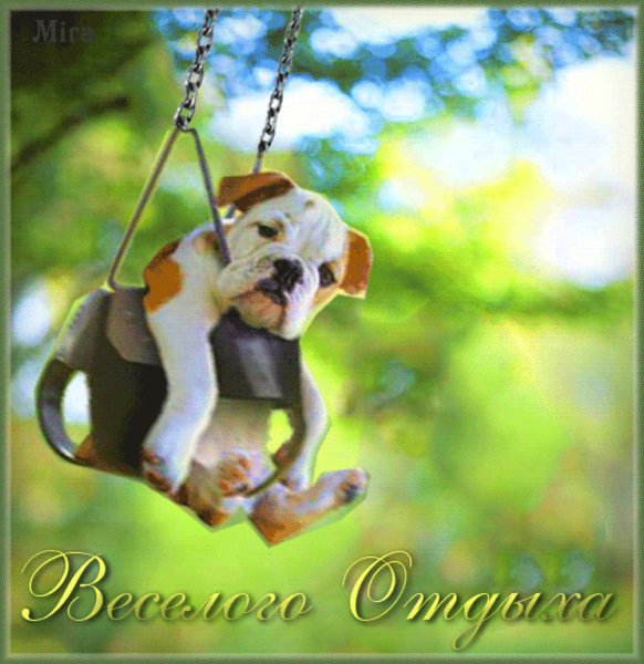 Отличных выходных