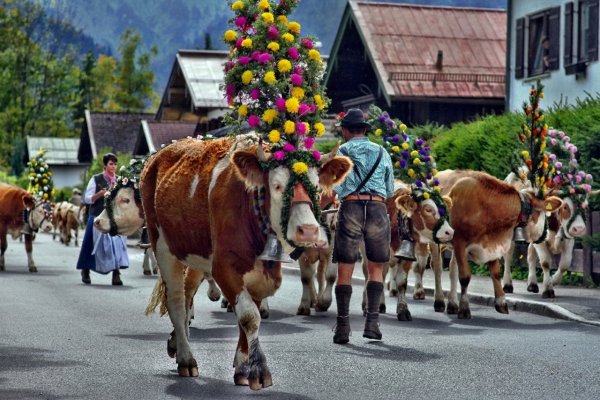 Австрия Альмабтриб