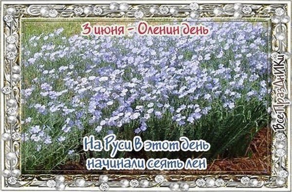 Открытка Еленин день 3 июня