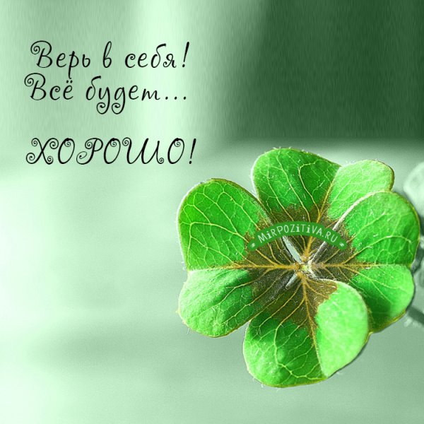 Клевер приносящий удачу