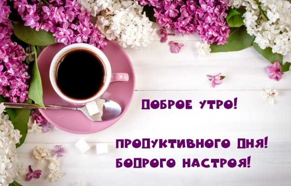 Доброе утро
