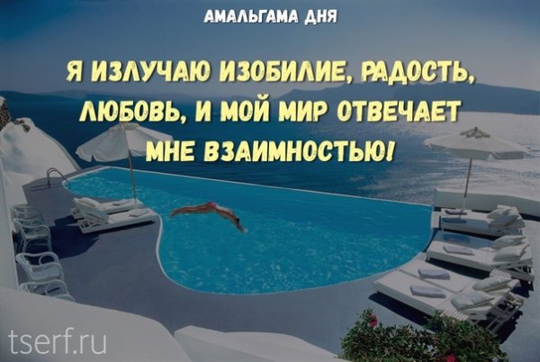 Амальгама дня