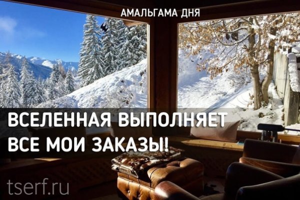 Амальгама дня